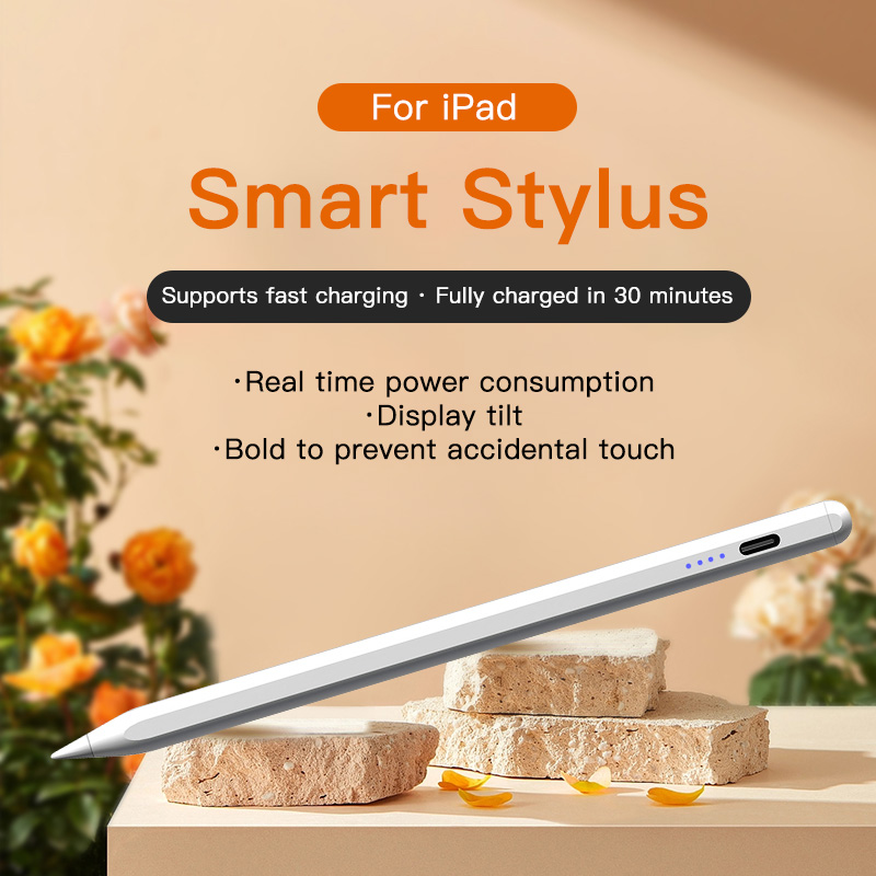 Eingabestift für Apple Pencil  – Tablet Accessories Kids Bewertung und Preis